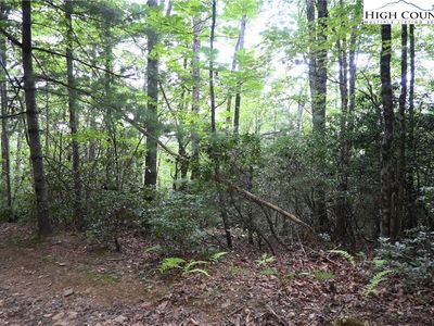 TBD Endless View, West Jefferson, NC, 28694