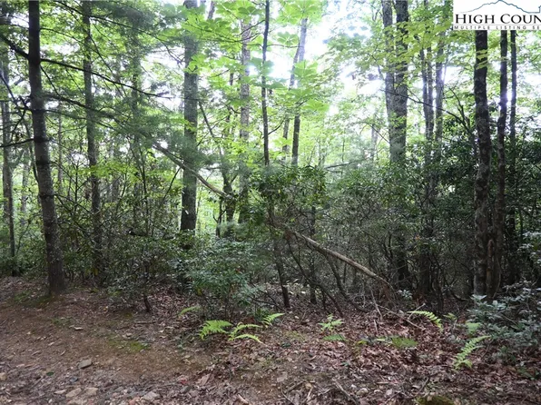 TBD Endless View, West Jefferson, NC 28694