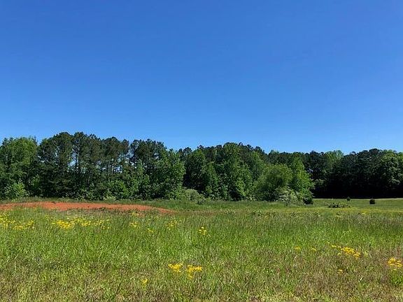 5th image of 103 Reserve Dr Lot 12