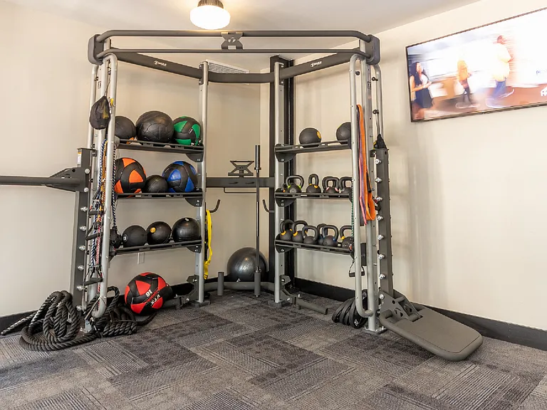 Everyone gets access to the free weights and equipment in our Fitness Center.