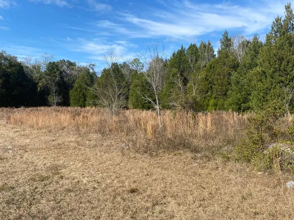 County Road 250, Dowling Park, FL 32060