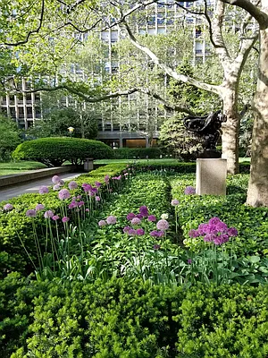 Rented by Compass | media 22