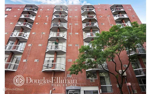 Rented by Douglas Elliman | media 15