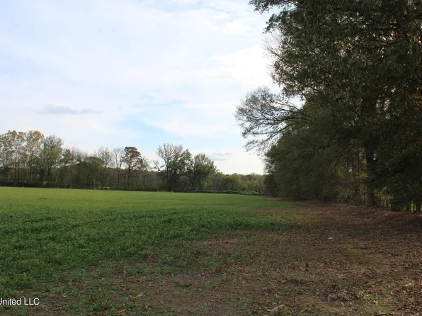 13780 Pebble Ridge Dr, Byhalia, MS 38611