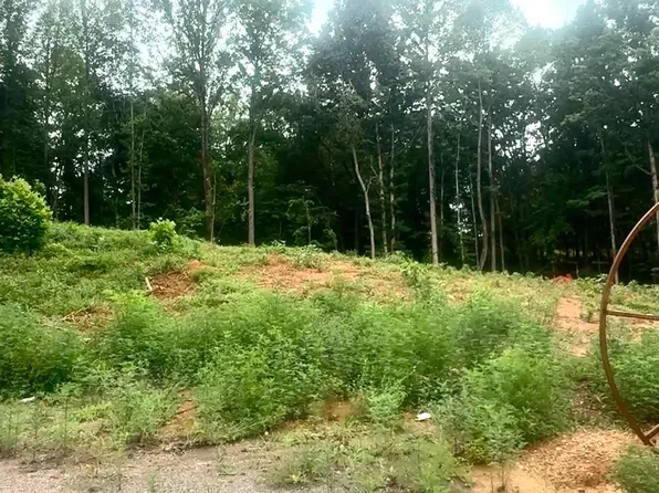 20 Oriole Court, Bedford, VA 24523