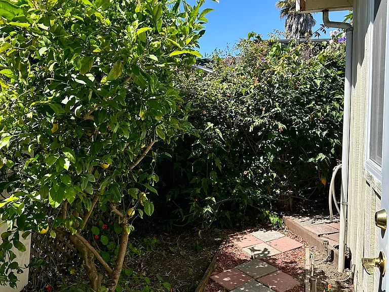 1041 El Dorado Ave #A — Photo 9