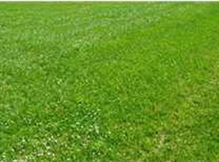 0 Stone Point Dr, Mount Vernon, IN 47620