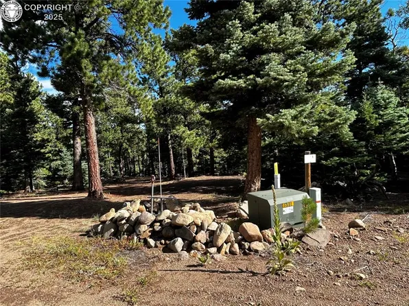 53 Pine Eagle Ct, Westcliffe, CO 81252