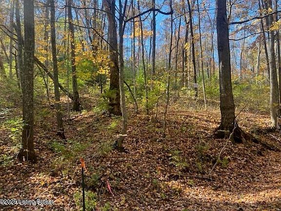 5th image of 2 Cemetery Hill Rd