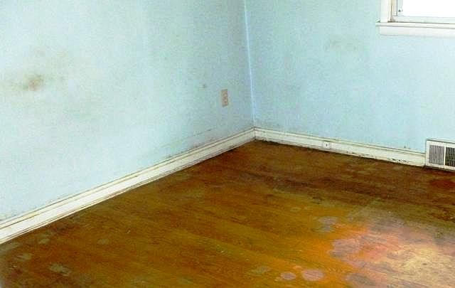 1st image of 6605 Juneau St