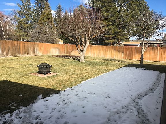 Back yard view