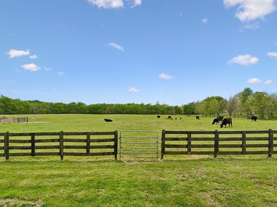 2575 Mount Vernon Rd, Chapel Hill, TN, 37034