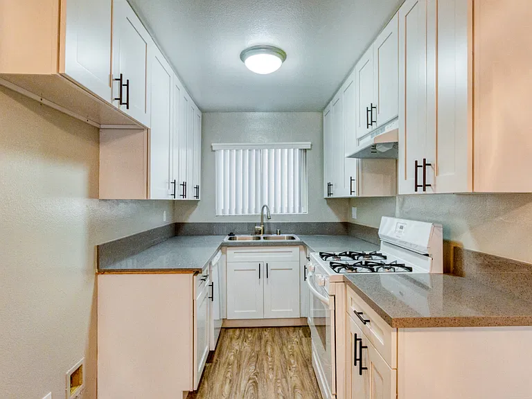Myrtle Street Apartments — Photo 13