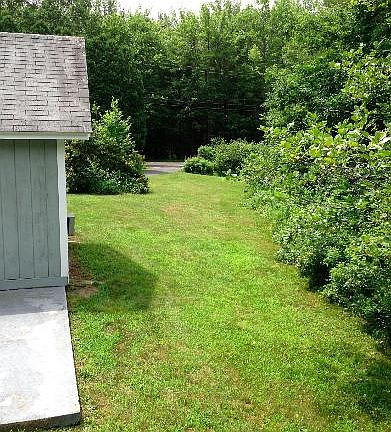 Outside next to apartment bedroom window.