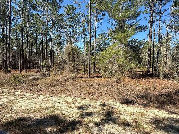4th image of Lot 5 SE 130 COURT LOT 5
