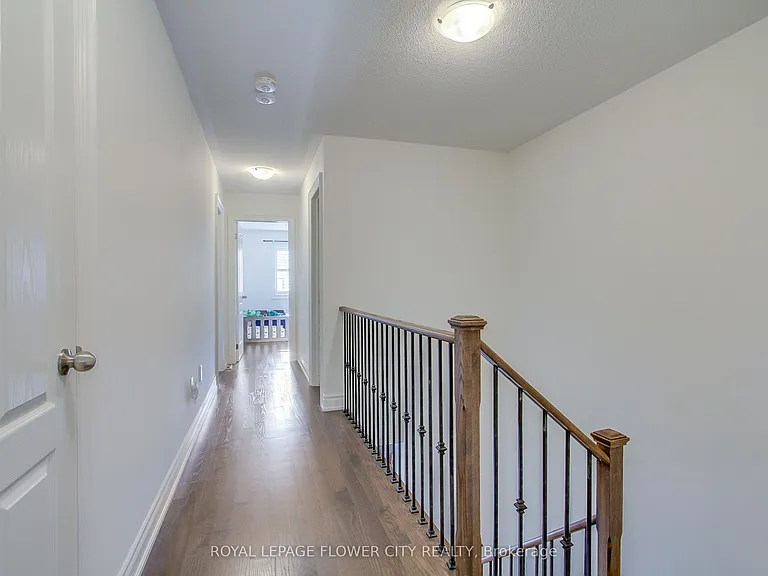 1311 Restivo Ln — Photo 18
