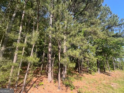 3408 Lost Valley Dr, Jonesboro, GA, 30236