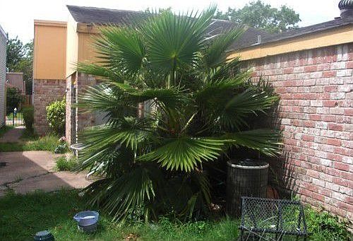 2nd image of 11538 Bellerive Dr