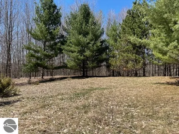 Lots D & E Se Torch Lake Dr, Bellaire, MI 49615