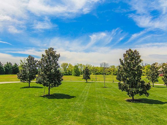 5th image of Lone Willow Dr