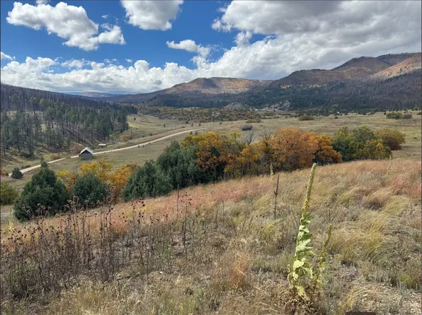 Los Alamitos Rd, Chacon, NM 87713