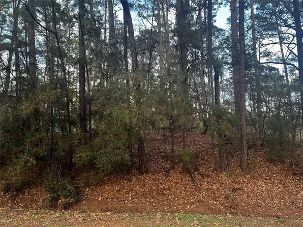 26 Sunny Hill Dr Lot 11, Coldspring, TX 77331