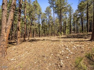 County Road 2325, Alpine, AZ 85920