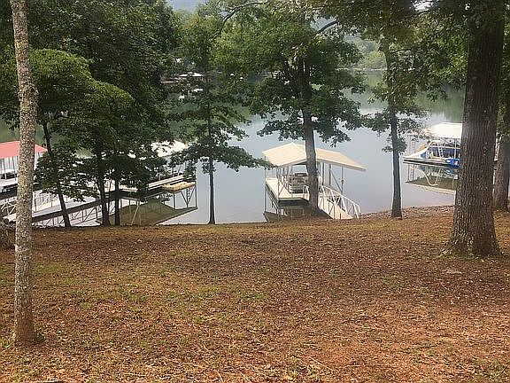 Mature trees for shade