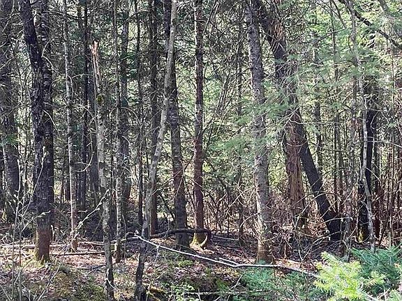 3rd image of Simms Stream Road