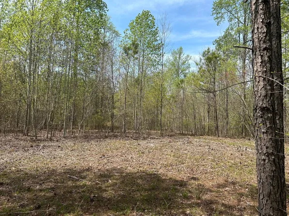 6390 Raulston Falls Rd Lot 94, Jasper, TN 37347
