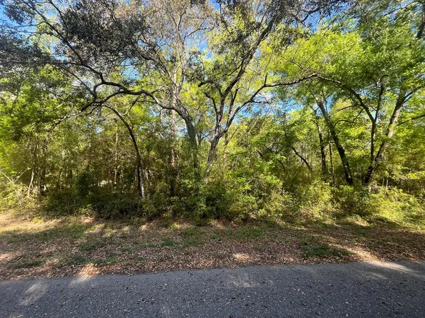 (undisclosed Address), Ocklawaha, FL 32179