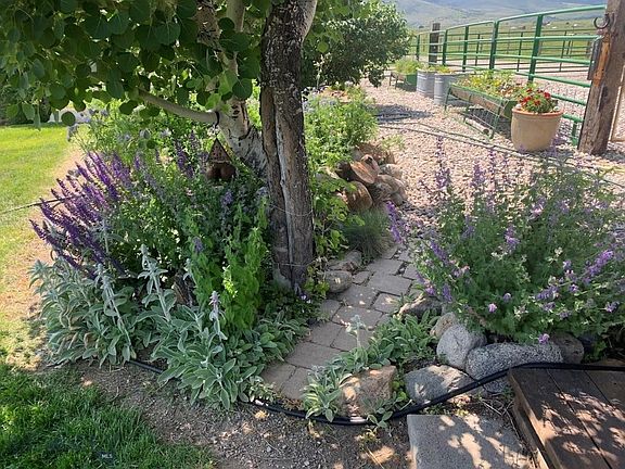 90th image of this home