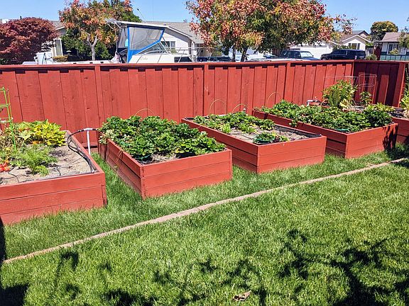 Raised Beds with Drip Irrigation