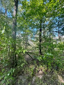 1800 Rice Loop, Morehead, KY, 40351