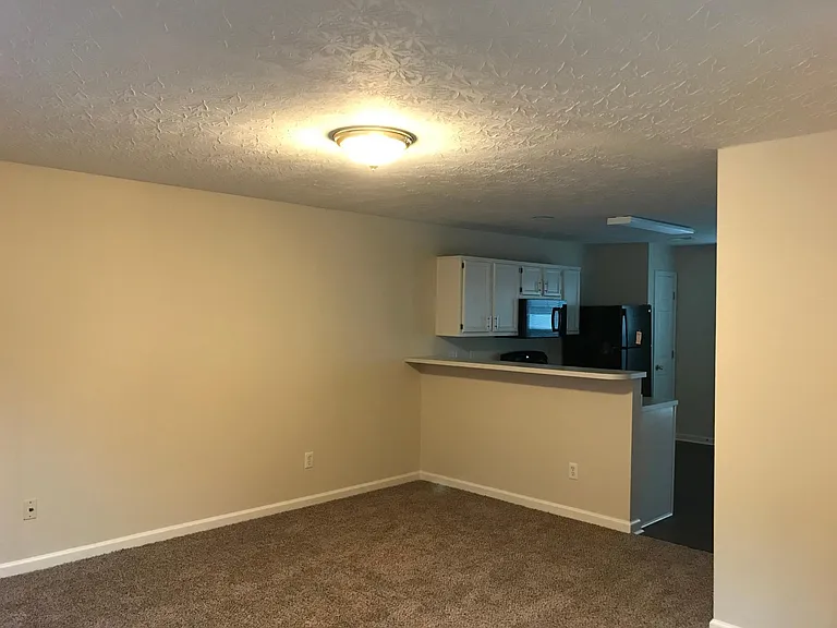 425 Dabney Dr — Photo 4