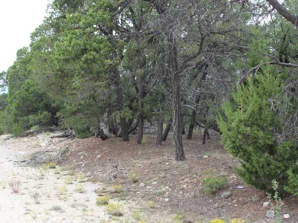 7 Manzano Loop, Tijeras, NM 87059