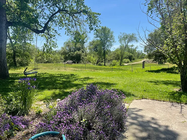 7077 Pine Gate Way — Photo 9