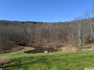9051 Hoyett Rd, Cuba, NY 14727