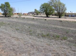 1013 S Georgia St, Amarillo, TX 79102