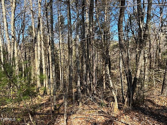 3rd image of 445 Possum Valley Rd
