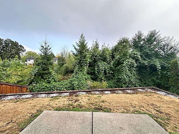 Backyard - green space