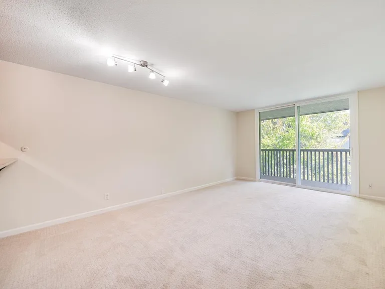 Shelter Creek Ln — Photo 3