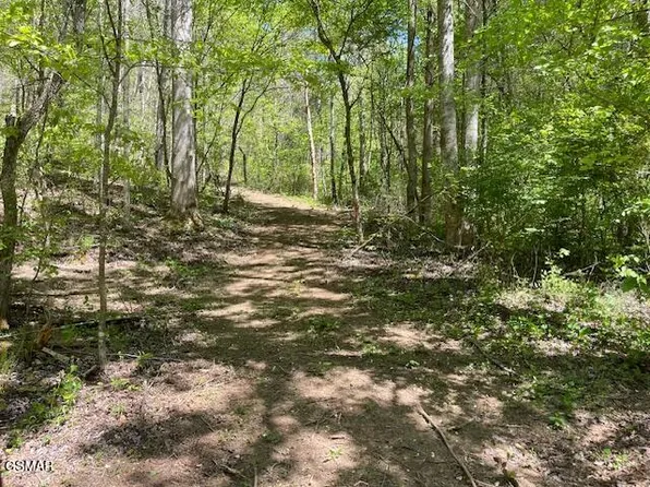 Jason Place Jones Cove Road Off, Sevierville, TN 37876