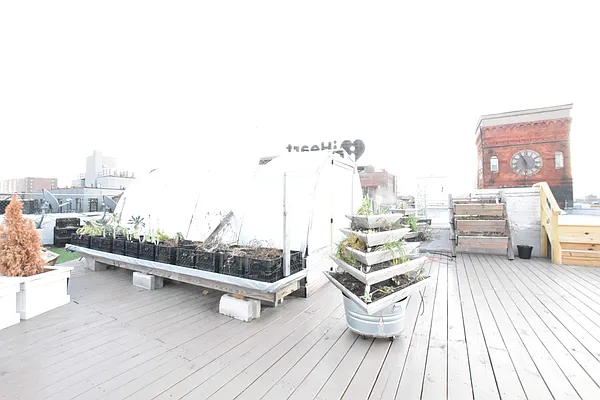 Rented by Clove Realty LLC | media 14