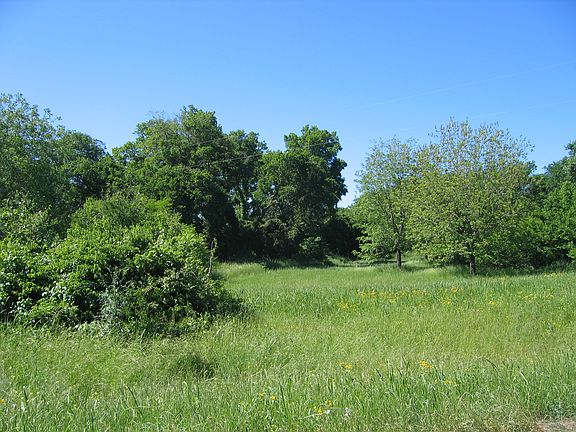 2nd image of 110 County Road 450