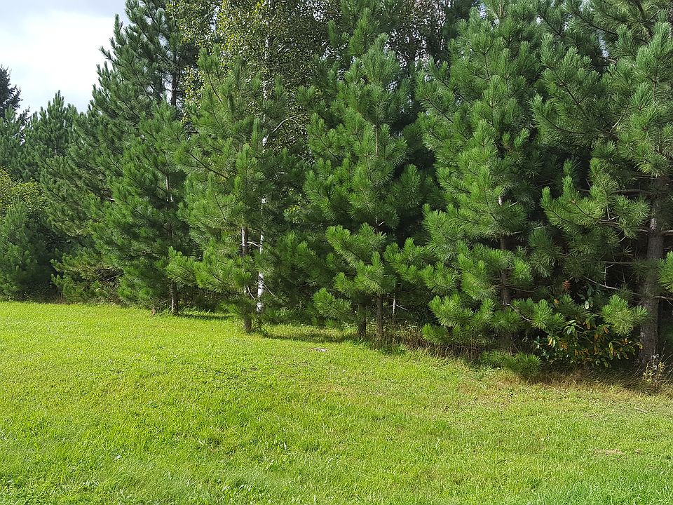 2nd image of 1050 County Highway D