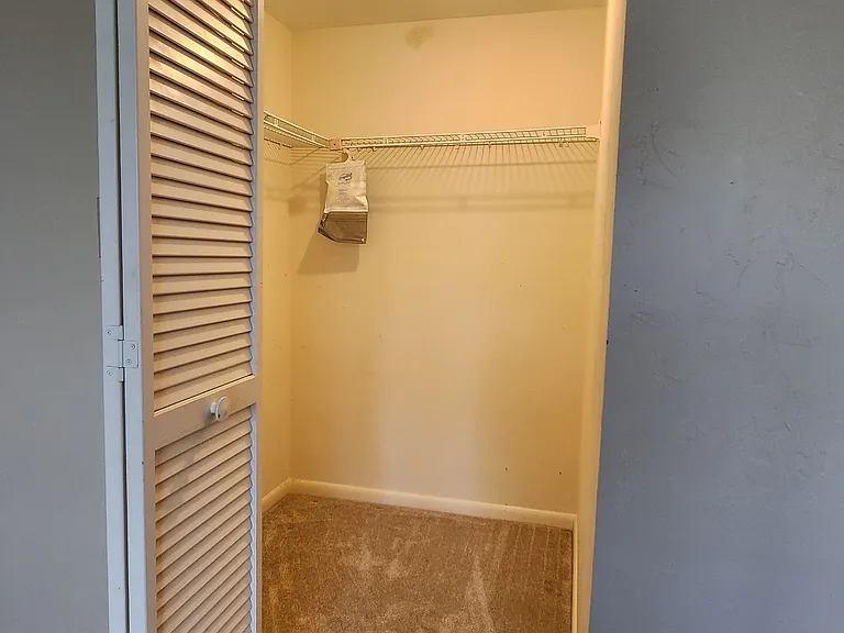 Guest walk in closet