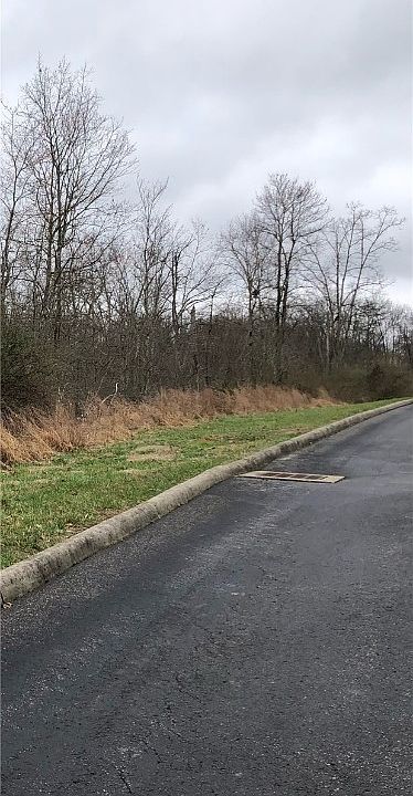 2nd image of 15 Delaware Dr