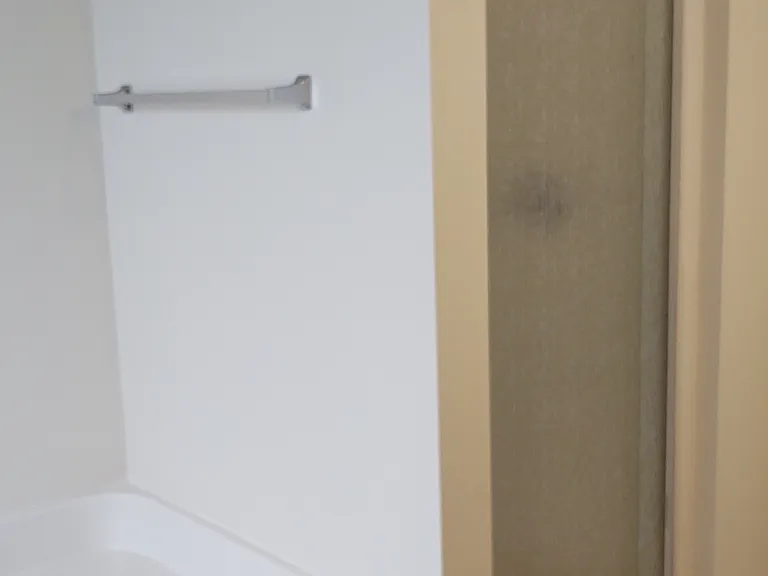 Master Shower