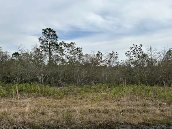 76 Picketts Mill Trl, Waynesville, GA 31566